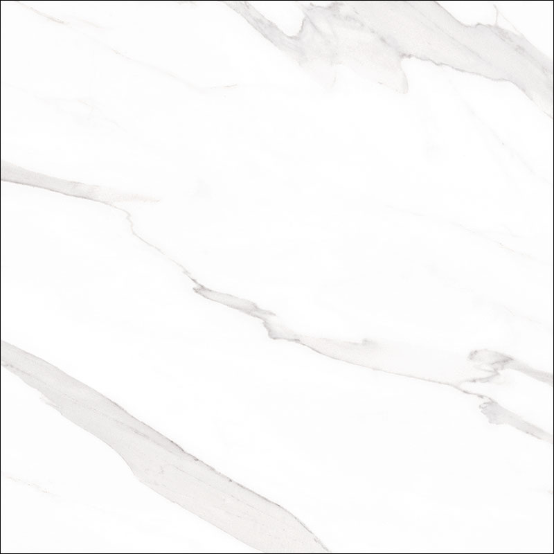 STATUARY Blanco 60×60 24″x24″ Rectified Natural Polished Rectified
